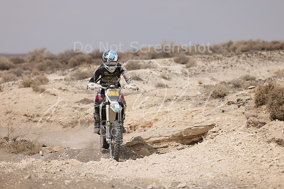 IMG_9538-321v