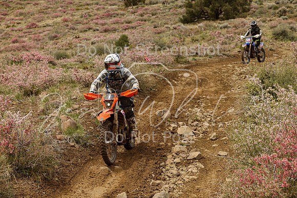IMG_2303-1