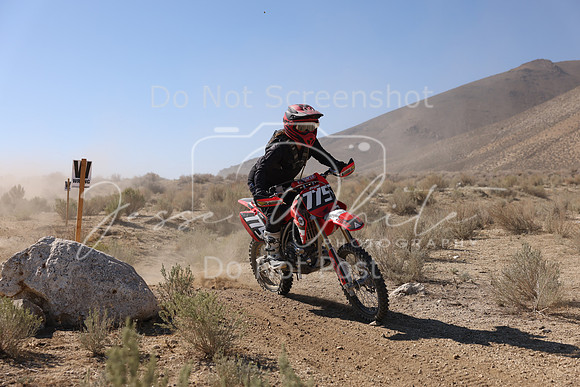 IMG_6878-775v