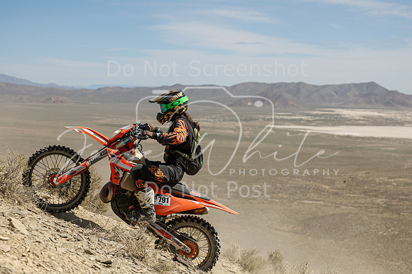 IMG_3785-nt791