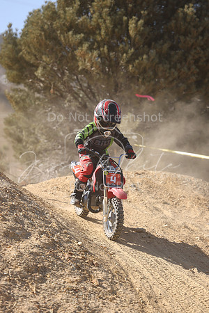 IMG_6439-4