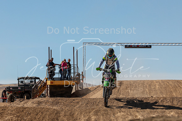 IMG_7441-519t