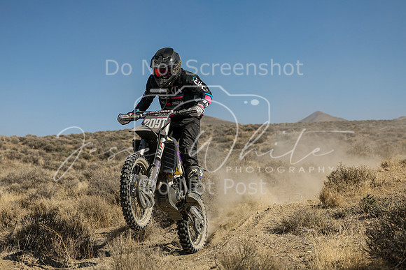 IMG_7694-209t