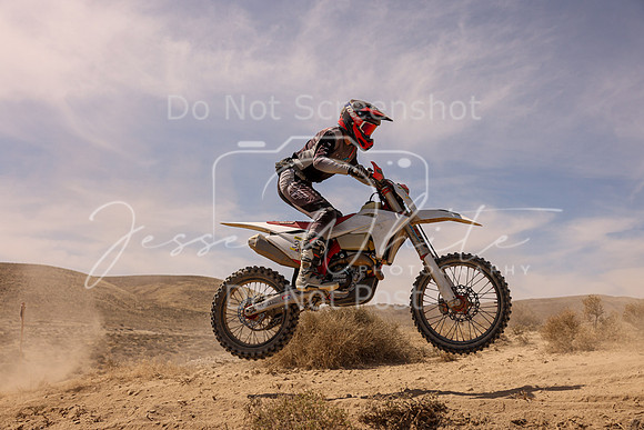 IMG_3366-333t