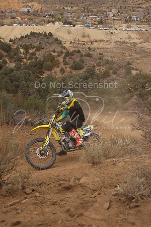 JW_VCGP'21_0017