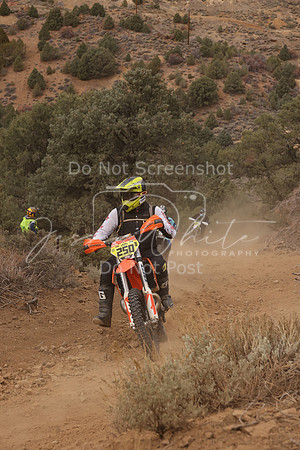 JW_VCGP'21_0029
