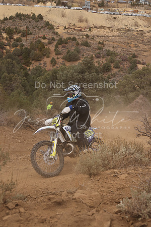 JW_VCGP'21_0038