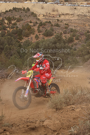 JW_VCGP'21_0048