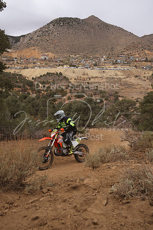 JW_VCGP'21_0053