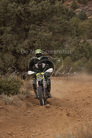 JW_VCGP'21_0055