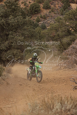 JW_VCGP'21_0072