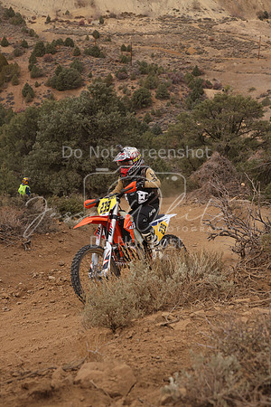 JW_VCGP'21_0080