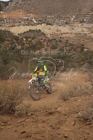 JW_VCGP'21_0090