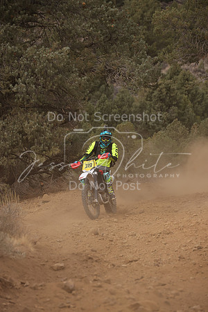JW_VCGP'21_0086