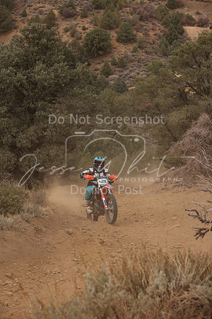 JW_VCGP'21_0097