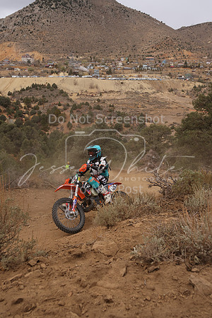 JW_VCGP'21_0099