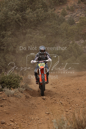 JW_VCGP'21_0124