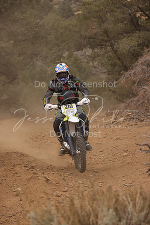 JW_VCGP'21_0131