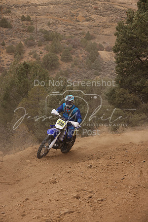 JW_VCGP'21_0166