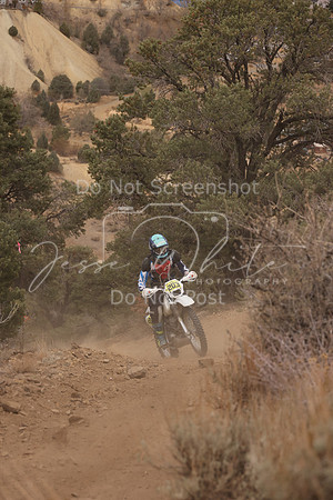 JW_VCGP'21_0188