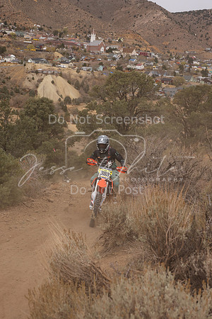 JW_VCGP'21_0196