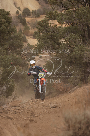 JW_VCGP'21_0223