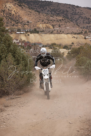 JW_VCGP'21_0239