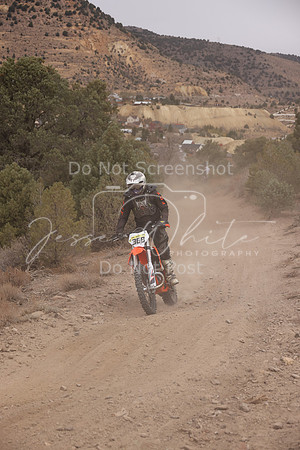 JW_VCGP'21_0243