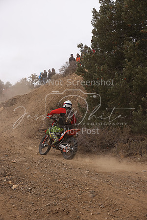 JW_VCGP'21_0278