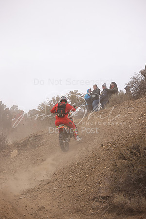 JW_VCGP'21_0283