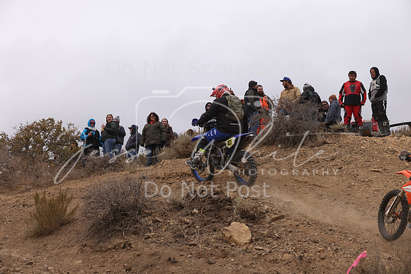 JW_VCGP'21_0294