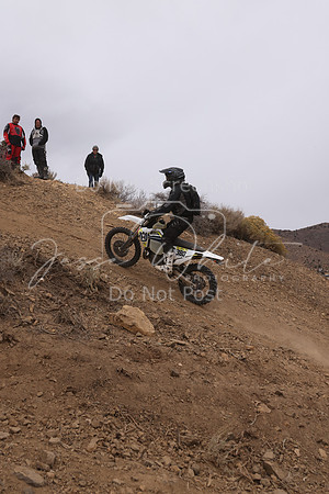 JW_VCGP'21_0308