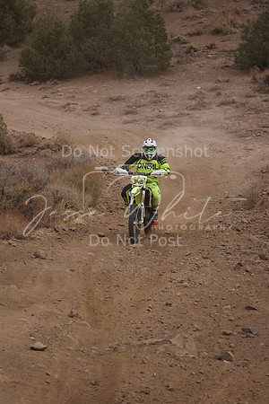 JW_VCGP'21_0310
