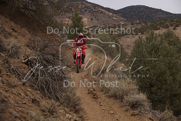 JW_VCGP'21_0644