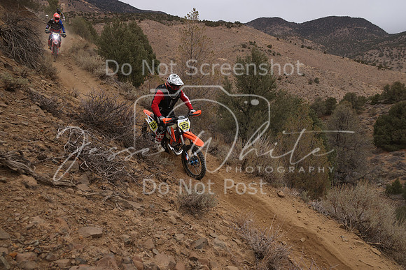 JW_VCGP'21_0660