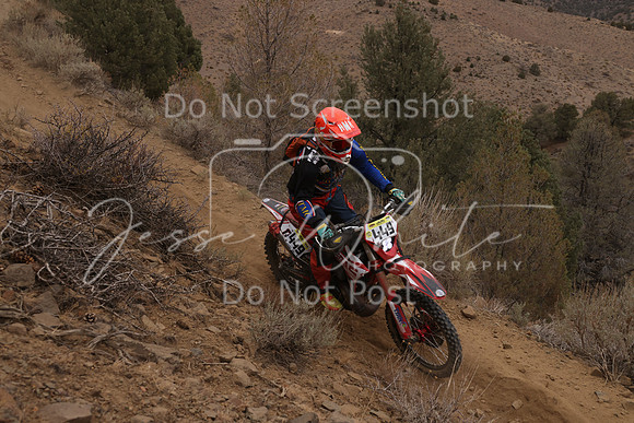 JW_VCGP'21_0663