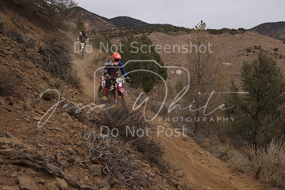 JW_VCGP'21_0661