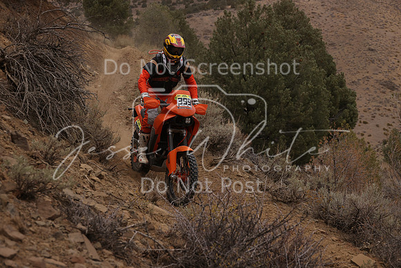 JW_VCGP'21_0695