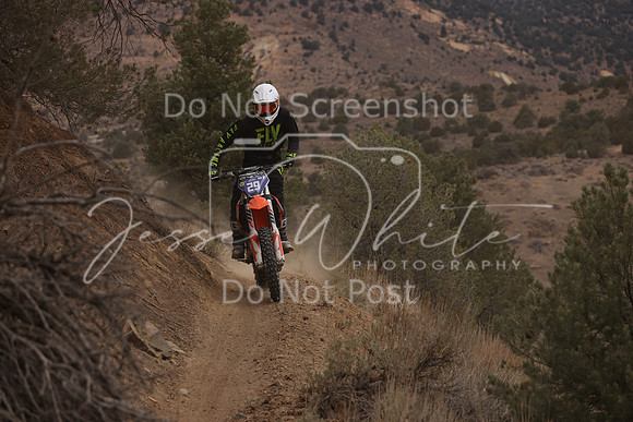 JW_VCGP'21_0794