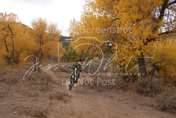 JW_VCGP'21_1636