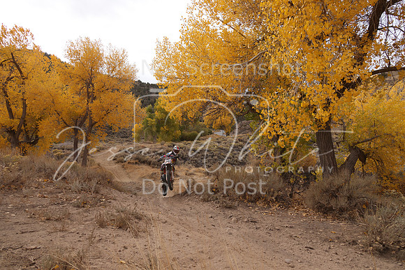 JW_VCGP'21_1627