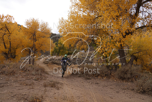 JW_VCGP'21_1649