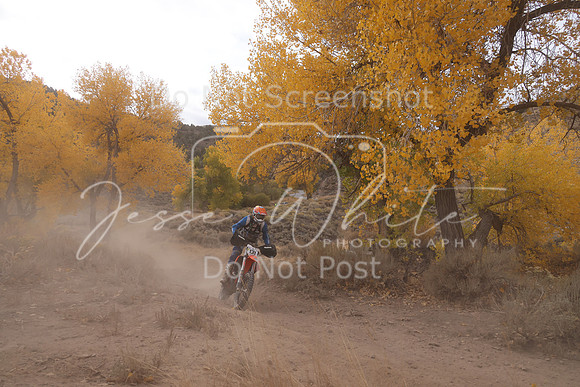 JW_VCGP'21_1674