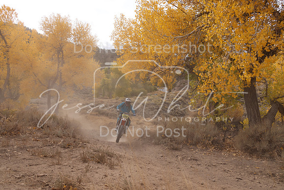 JW_VCGP'21_1688