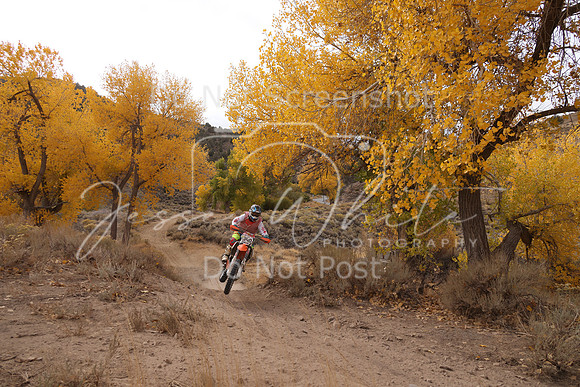 JW_VCGP'21_1614