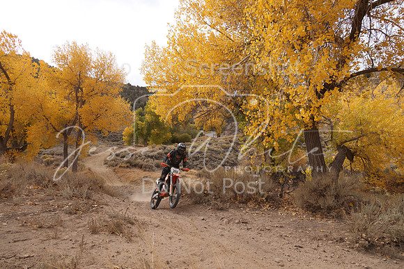 JW_VCGP'21_1621