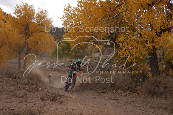 JW_VCGP'21_1738