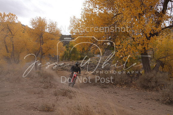 JW_VCGP'21_1785