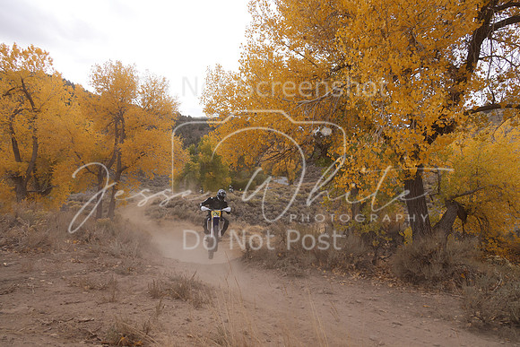 JW_VCGP'21_1794