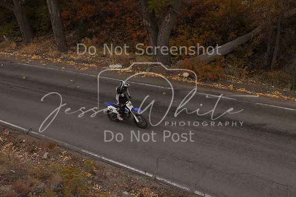 JW_VCGP'21_2741